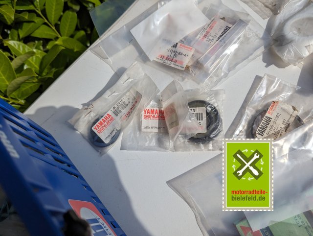 PXL_20240527_145556536